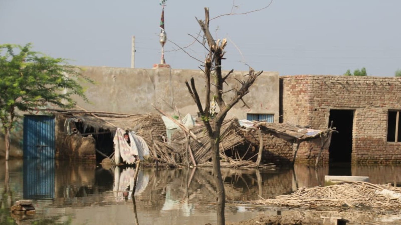 Saiban (Shelter Construction Project)