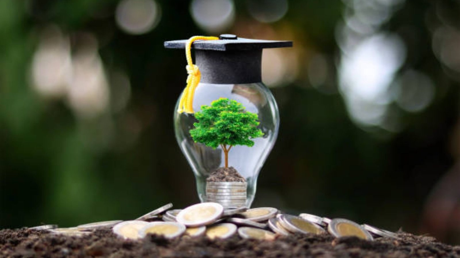 Parwaz Scholarship Program